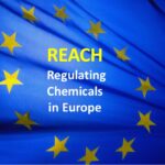 Ancora il regolamento R.E.A.Ch