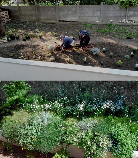 Il giardino come progetto dinamico
